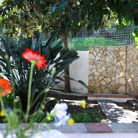 B&B Del Sole Tropea Riaci Ngoại thất bức ảnh